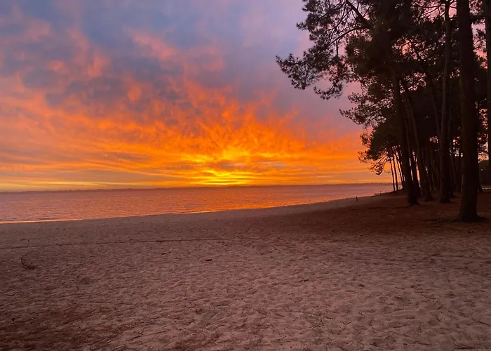 Chardonneret - T3 Proche Des Plages