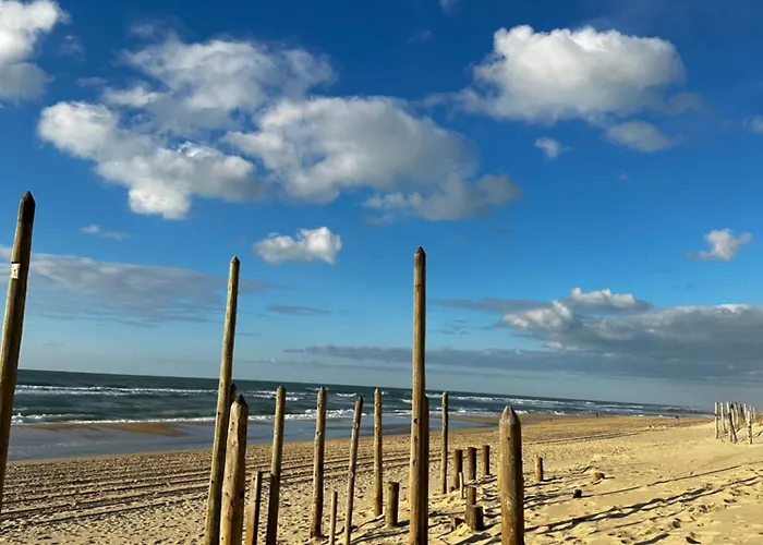Chardonneret - T3 Proche Des Plages *