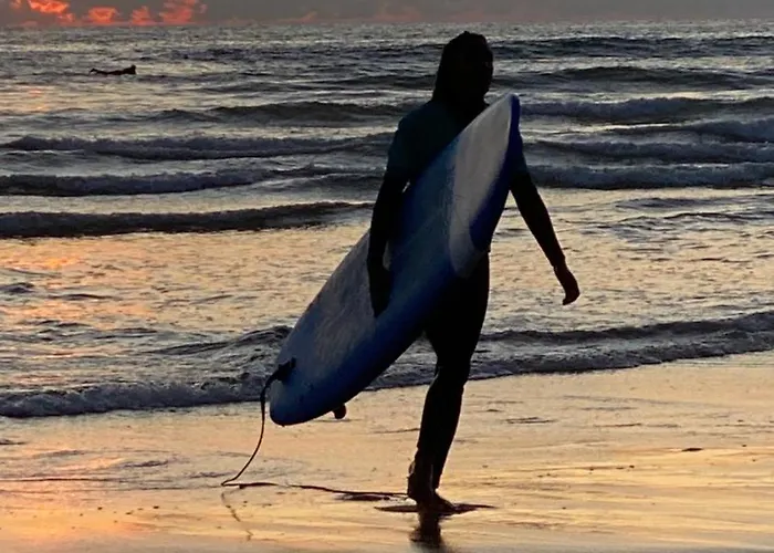 Chardonneret - T3 Proche Des Plages *