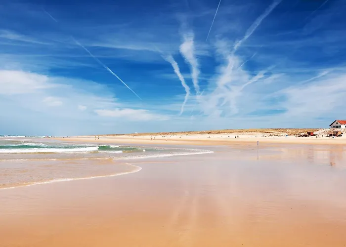 Chardonneret - T3 Proche Des Plages Lejlighed Mimizan