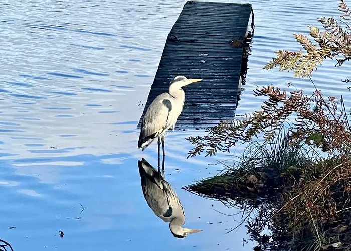 Chardonneret - T3 Proche Des Plages Lejlighed *