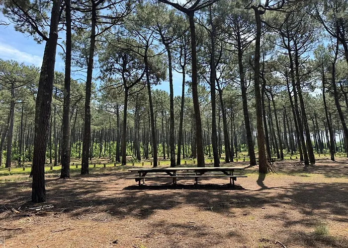Chardonneret - T3 Proche Des Plages