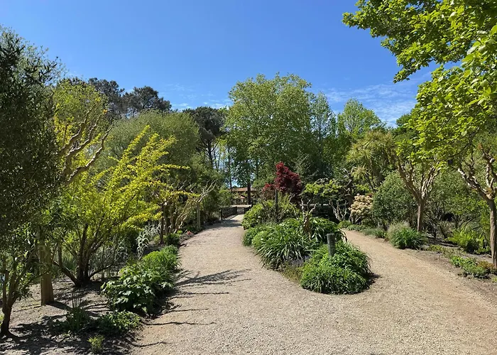 Chardonneret - T3 Proche Des Plages Mimizan